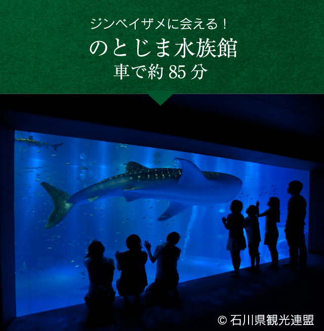 のとじま水族館