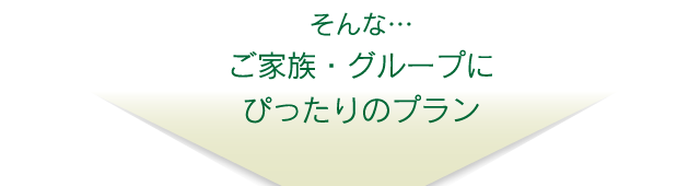そんな…ご家族・グループにぴったりのプラン
